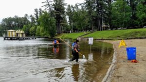 Gull Lake Beach